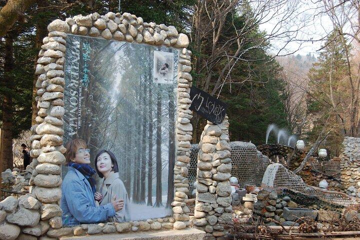 Privétour inclusief Nami Island met attracties in Seoul