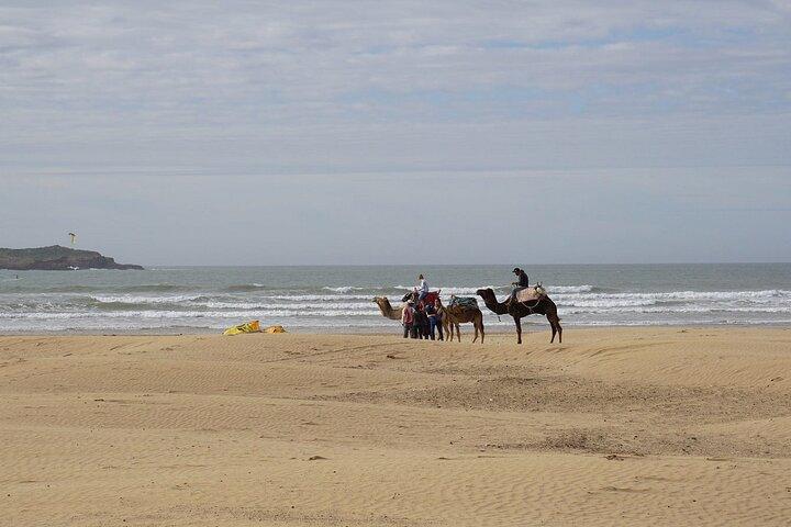 Essaouira Full-Day Tour from Marrakech