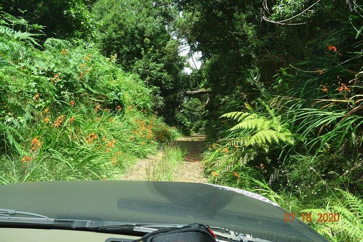 Excursion privée d'une journée complète hors route à Madère