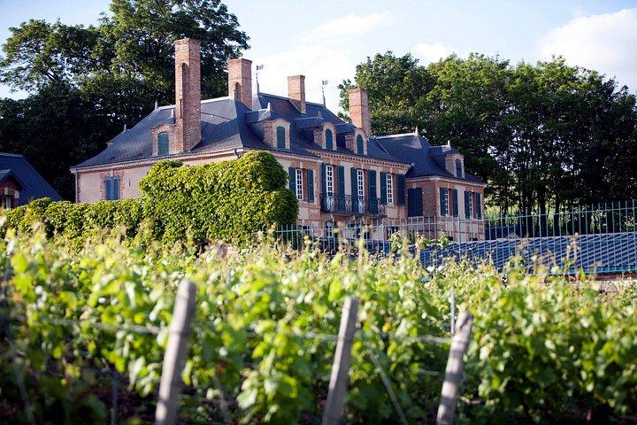Excursion privée d'une journée en Champagne avec déjeuner