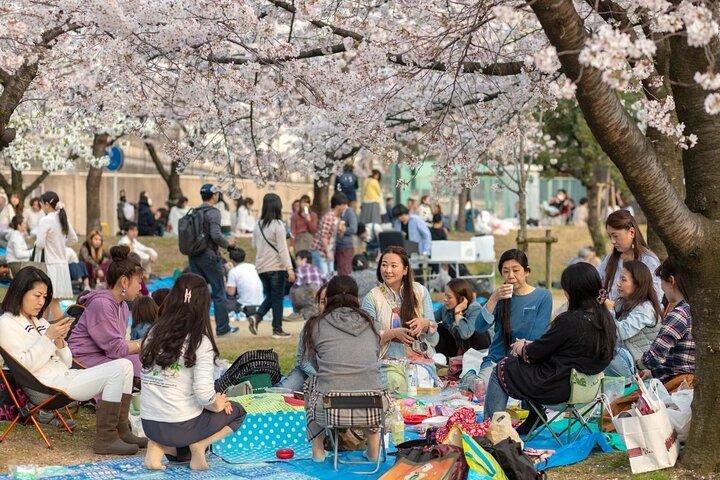 Osaka Private Kirschblütentour mit einem Einheimischen – Picknick inklusive