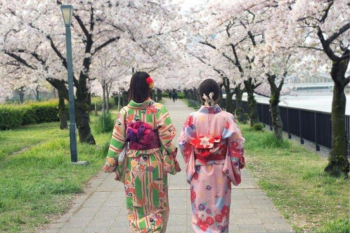Osaka Private Cherry Blossom Tour met een lokale - picknick inbegrepen
