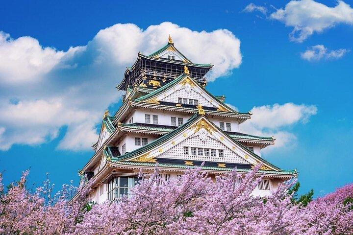 Osaka Private Kirschblütentour mit einem Einheimischen – Picknick inklusive