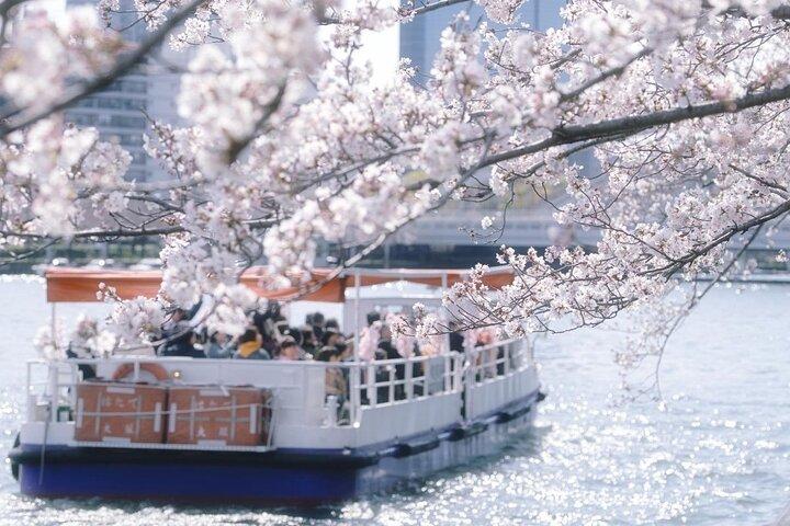 Osaka Private Kirschblütentour mit einem Einheimischen – Picknick inklusive