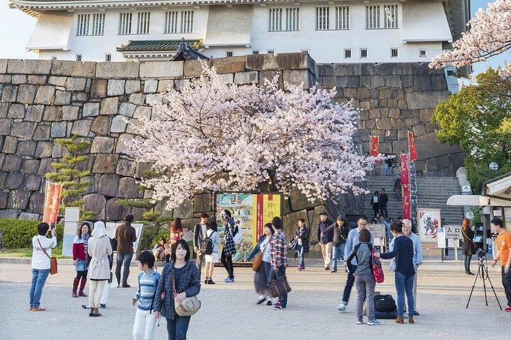 Osaka Private Kirschblütentour mit einem Einheimischen – Picknick inklusive