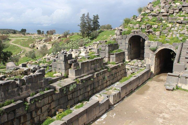 Private Full Day Tour naar Umm Qais en Ajloun vanuit Amman