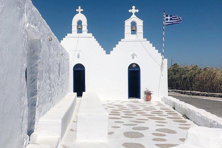 Half-Day Private Guided Tour in Mykonos