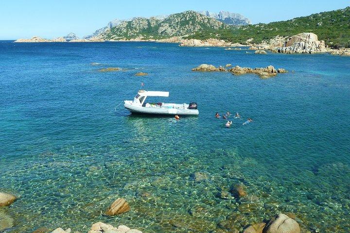 Tour to Figarolo Island with the possibility to observe dolphins