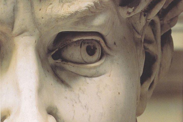 Excursão Terrestre de Livorno: Excursão Privada em Florença com 'David' de Michelangelo