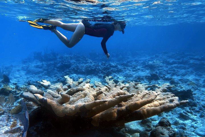 4 dias, 3 noites de experiência de catamarã em Exumas, Bahamas