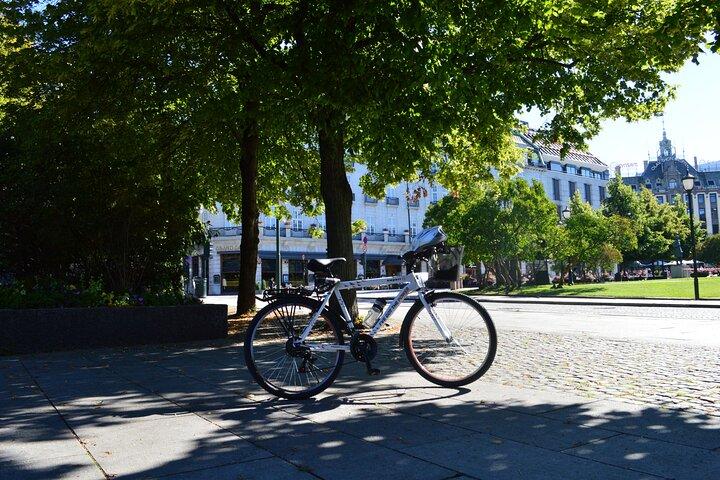 EXPÉRIENCE PRIVÉE BIKING OSLO Jusqu'à 8 participants maximum
