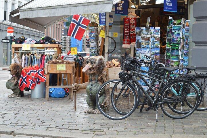 EXPÉRIENCE PRIVÉE BIKING OSLO Jusqu'à 8 participants maximum