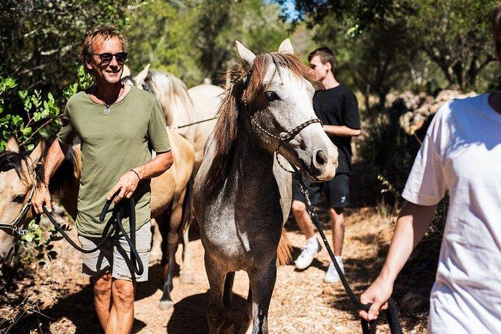Horse Sanctuary: A nature walk with Rescued Horses by your side