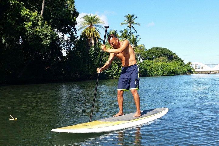 North Shore Stand-Up Paddleboard Lesson & Turtle Tour
