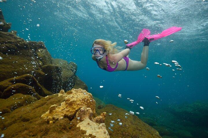 Champagne Reef Snorkeling Tour em vulcânico quente Bubbles Dominica