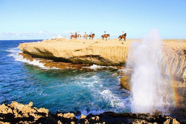 Authentic Aruba Morning Horseback Riding Tour
