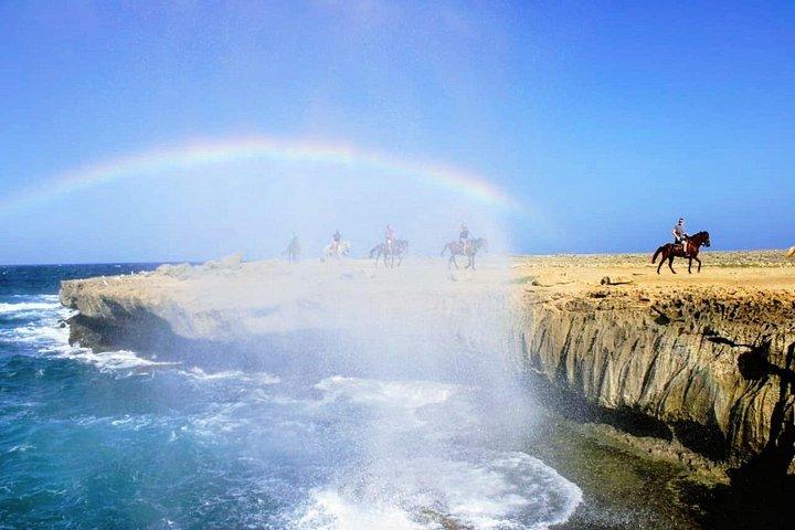 Authentic Aruba Morning Horseback Riding Tour