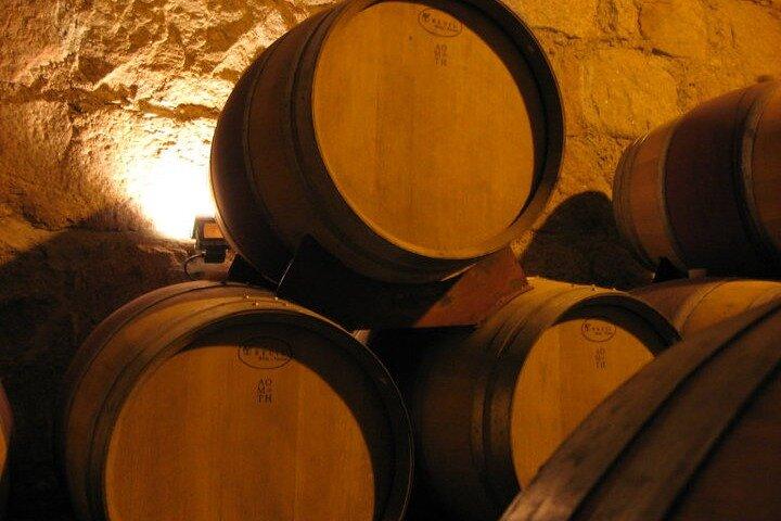Concha y Toro Night Tour & Dinner