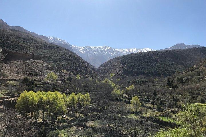 Ourika Valley & Atlas Mountain Private Tour
