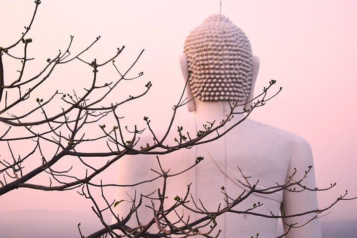 Athugala und Silbertempel-Tour ab Dambulla