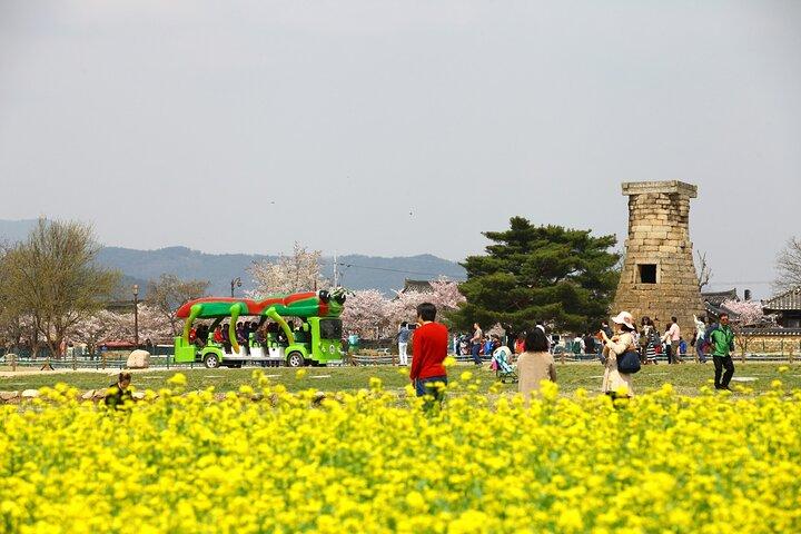 Giro in treno di 2 giorni a Gyeongju e Busan da Seoul