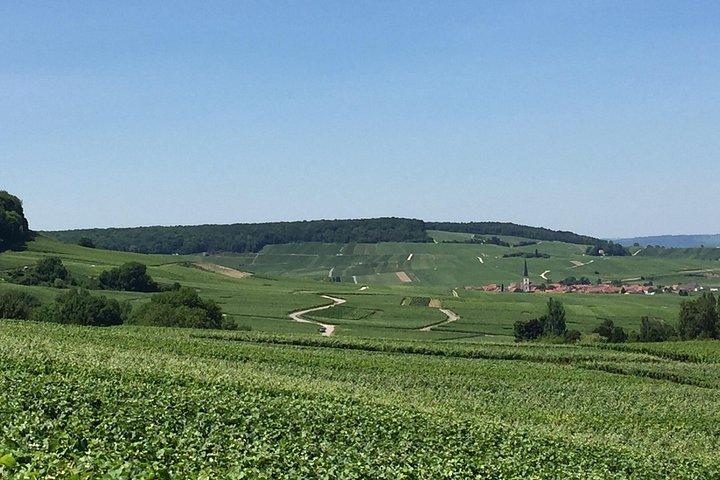 Excursion privée d'une journée en Champagne avec déjeuner
