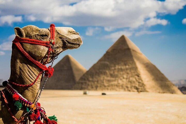 Visite de la magie de l'Égypte
