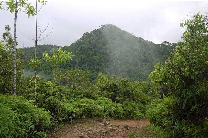 Sinharaja Rain Forest Tour from Hambantota