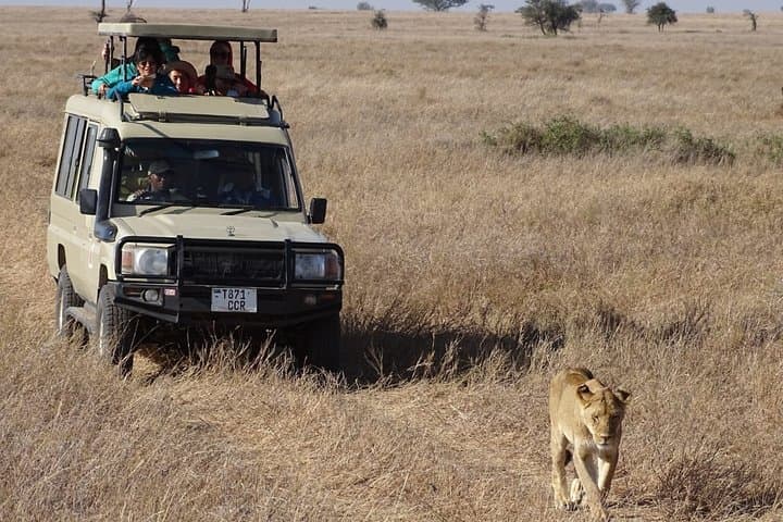 3 Days Maasai Mara Small Group Safari in a 4 x4 Land Cruiser Jeep