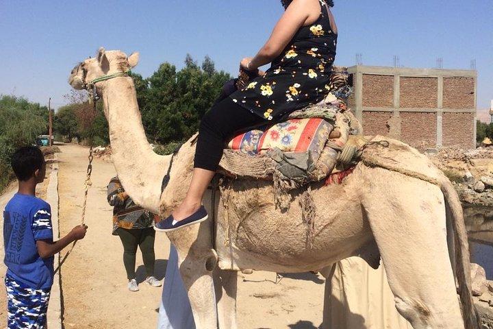 Lo mejor de Egipto: crucero de 7 noches por El Cairo, Asuán, Luxor y el Nilo con vuelos