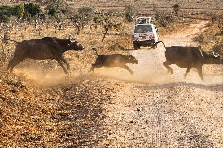 3 dias 2 noites Tsavo west & Taita Hills Safari (mínimo 2 pessoas)