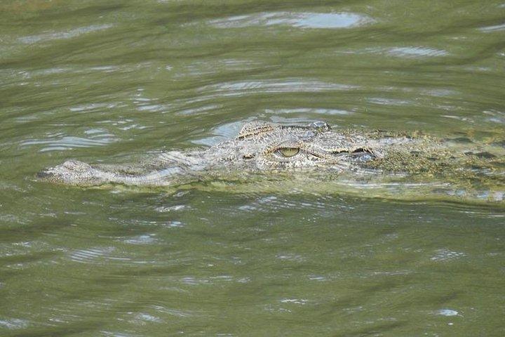 The Wild @ Sungei Buloh Nature Reserve