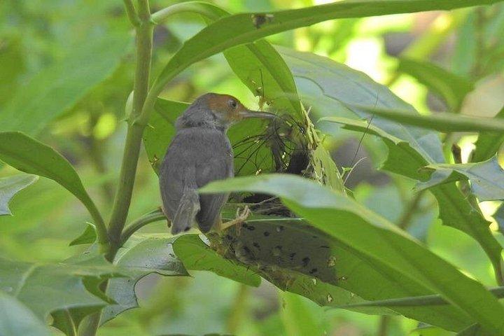 The Wild @ Sungei Buloh Nature Reserve