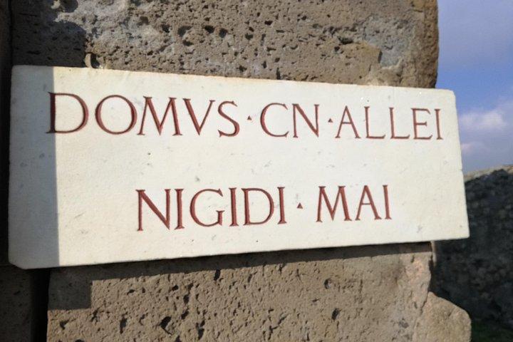 Private Tour with Official Guide through the wonders of Pompeii.