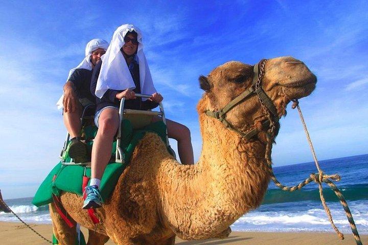Cabo ATV et aventure combinée à dos de chameau Migriño