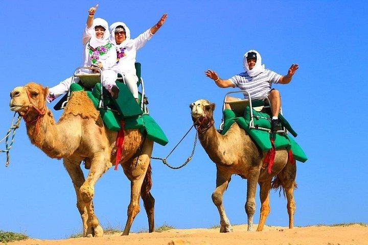 Cabo ATV et aventure combinée à dos de chameau Migriño