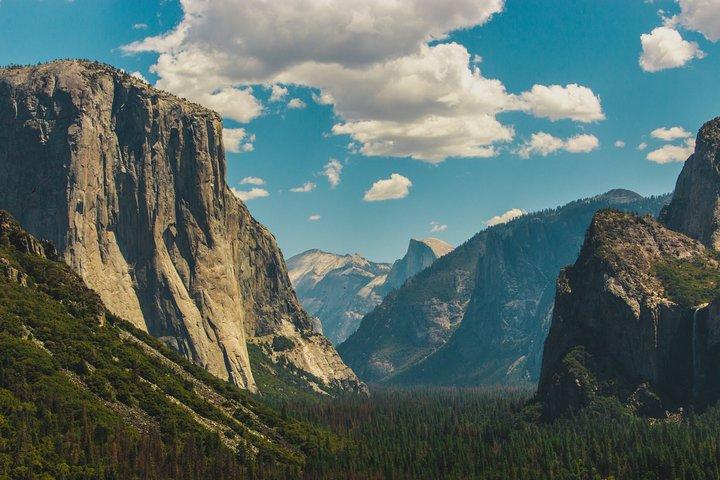 Alcatraz Tour avec Yosemite Day Tour & Aquarium Accès