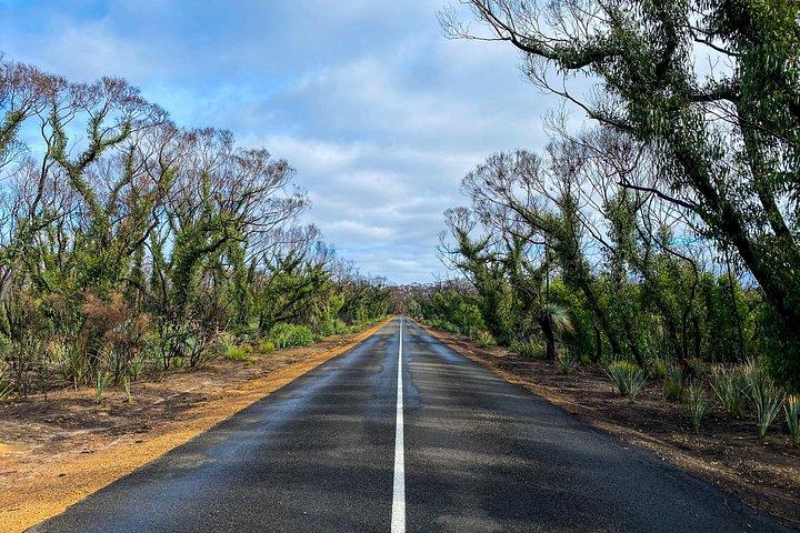 2 giorni Ultimate Kangaroo Island con traghetto di ritorno