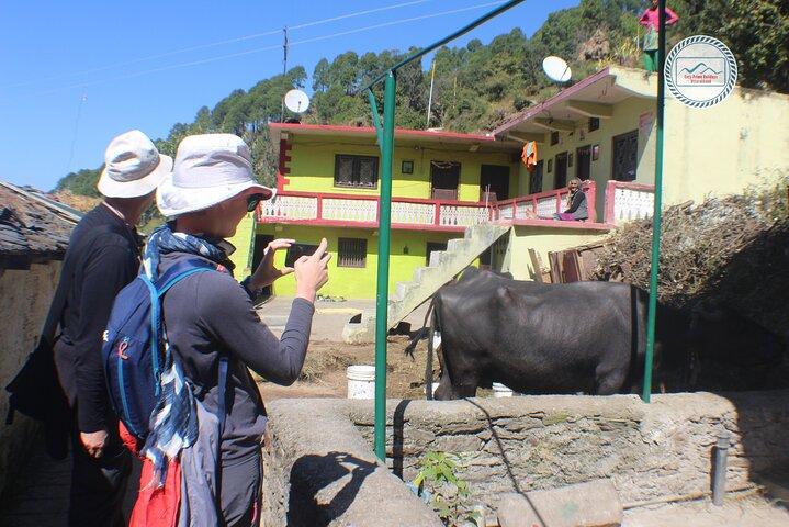 Découvrez Mussoorie: Visite guidée privée de Mussoorie