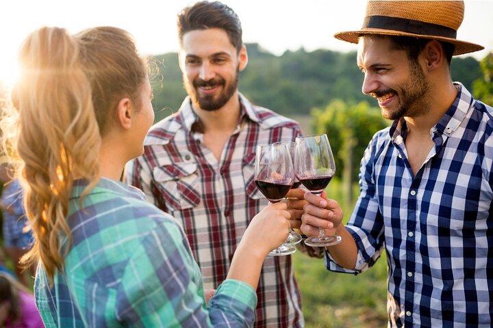Paket: Muir Woods & Napa vinprovning på 1 dag
