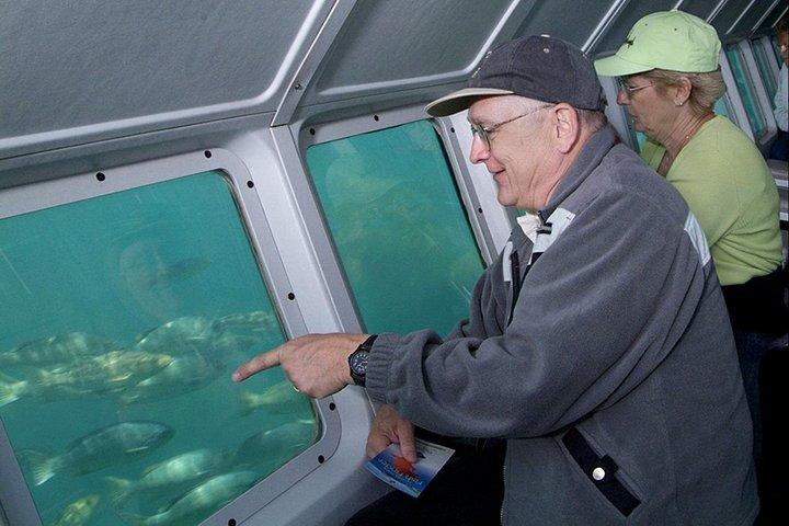 LAX エリアのホテルからカタリナ島への日帰り旅行、アンダーシー アドベンチャー付き