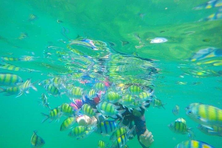 Hong-Islands-Tagestour ab Krabi