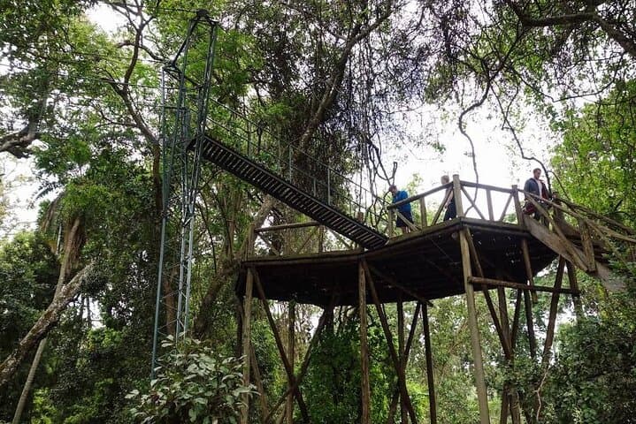 1 Day Ngare Ndare Forest From Nairobi by Jeep (minimum 2 Pax)
