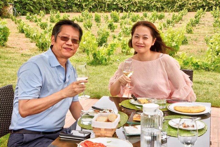 6-tägige Wein- und Gastronomietour durch Nordspanien