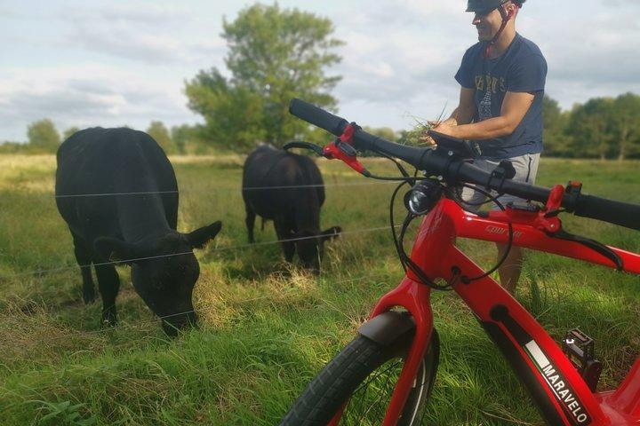 E-Bike-Abenteuer Central Forgotten Giants