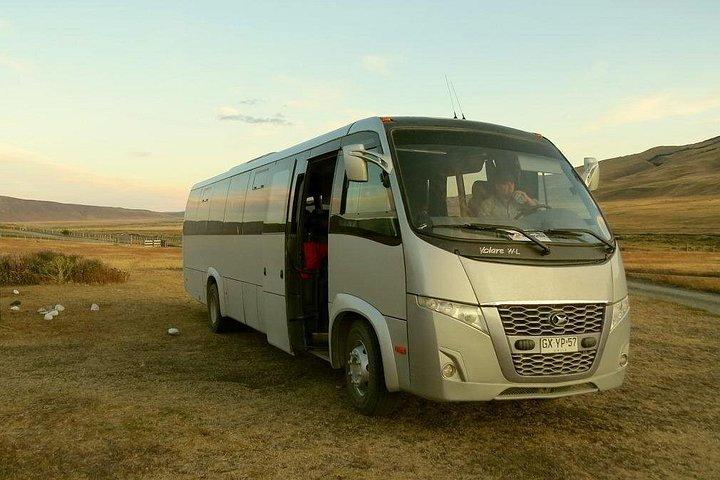 Transfert de Punta Arenas à Puerto Natales