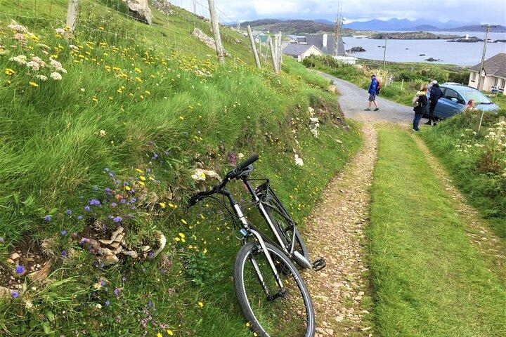 コネマラ海岸のイニシュボフィン島での電子自転車。自己誘導。丸1日。