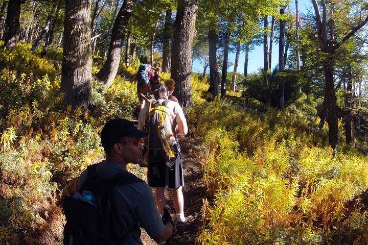 Escursionismo nel Cerro Bella Vista - Tour di un'intera giornata in servizio privato