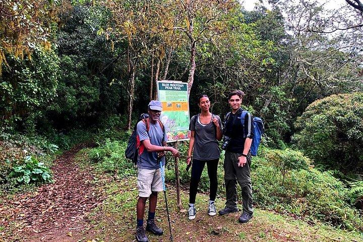 Tour privado de senderismo guiado a las Montañas Azules