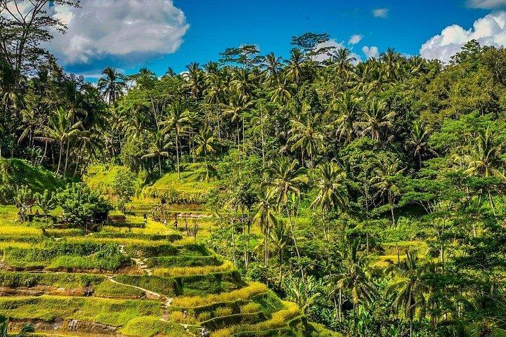 Explore Bali in 3 Days – Custom Itinerary - Private Tour
